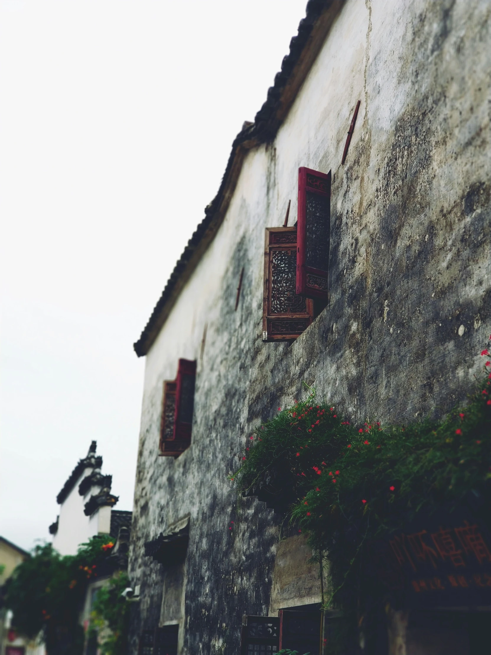 the building has red flowers growing on its walls