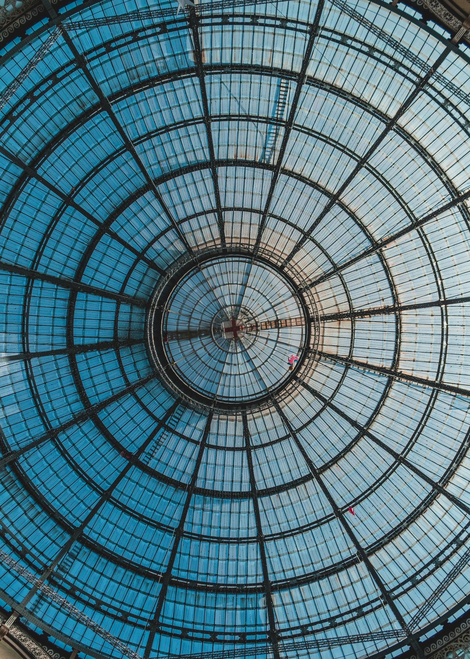 the ceiling of a glass and steel covered building