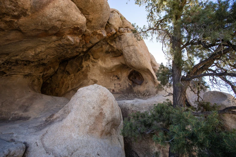 a lone tree sits between two large boulders