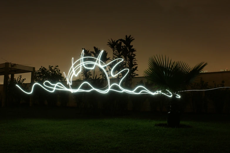 light art seen on grass at night time