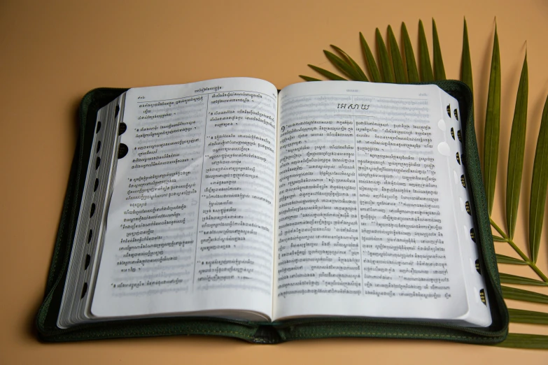 a large open book sitting next to a palm leaf