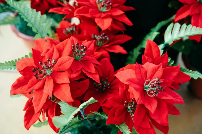 red flowers are in a vase that is on the table