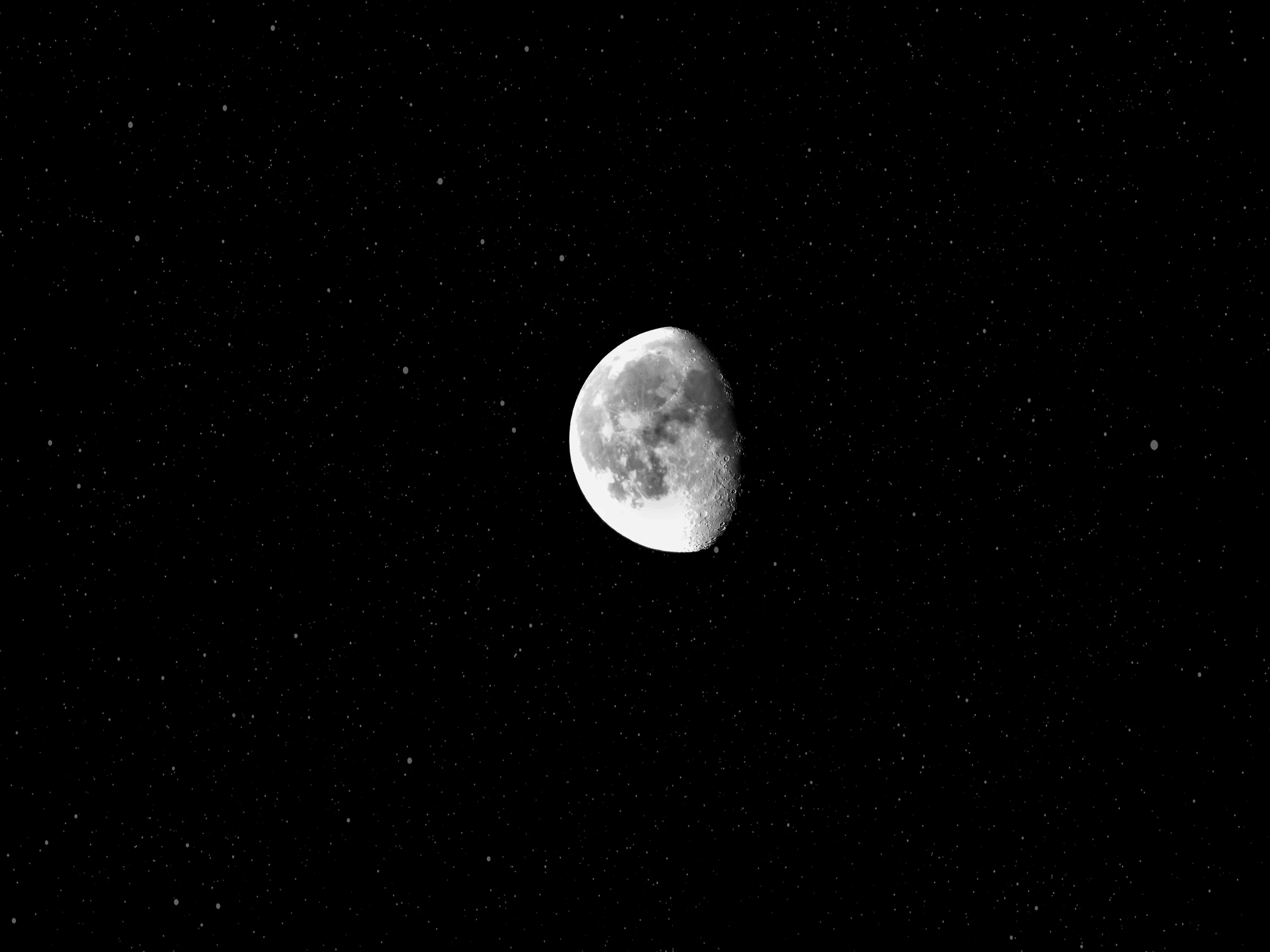 the moon, taken from ground level on black sky background