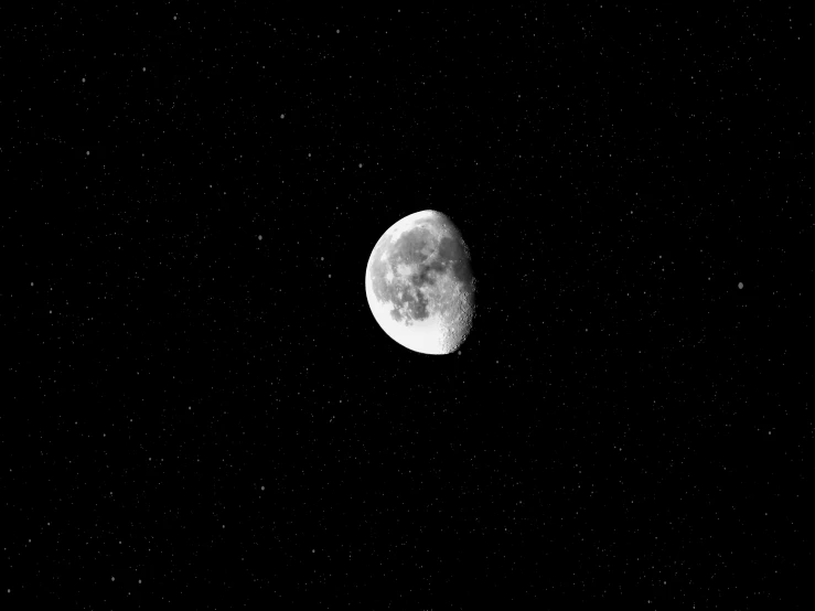 the moon, taken from ground level on black sky background