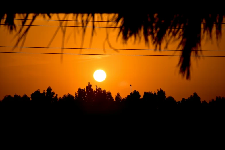 a silhouette view of trees against a sunset