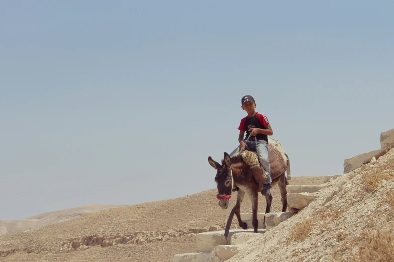 man riding on the back of a donkey on a rocky hillside