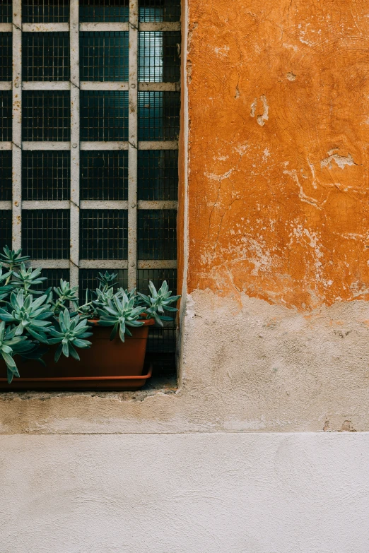 a planter with some plants in it by a wall