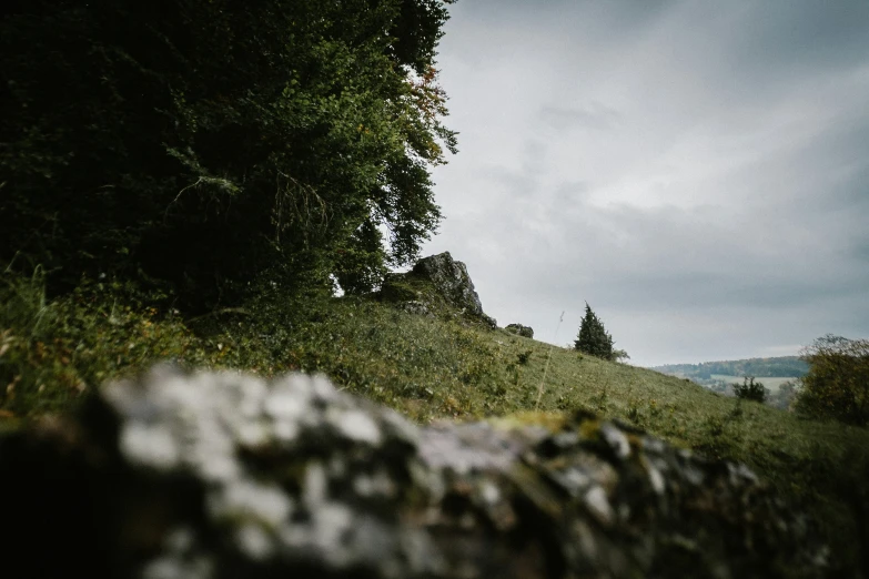 the lone horse is standing on the side of the hill