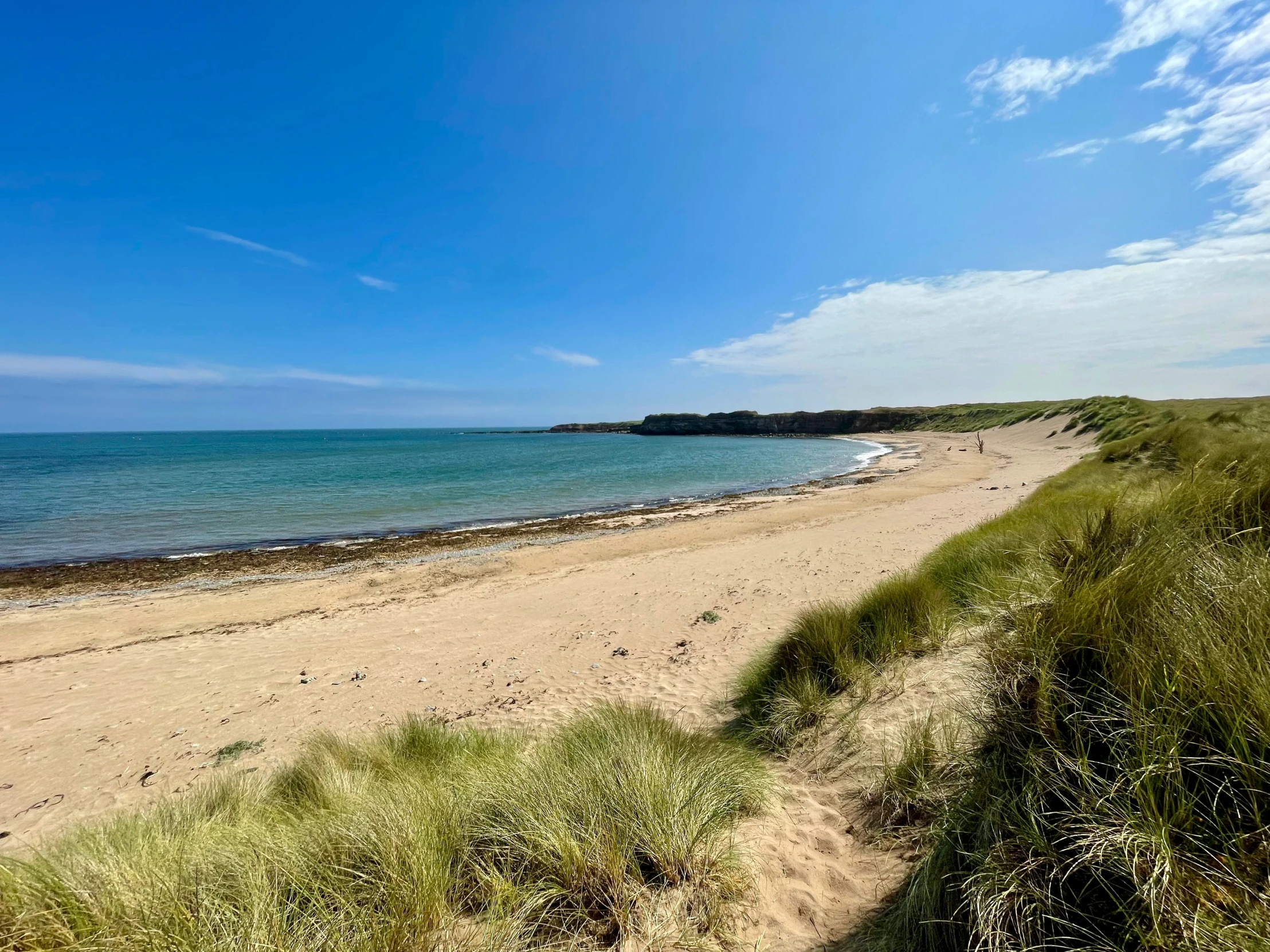 there is a sandy beach with a blue sky and calm water