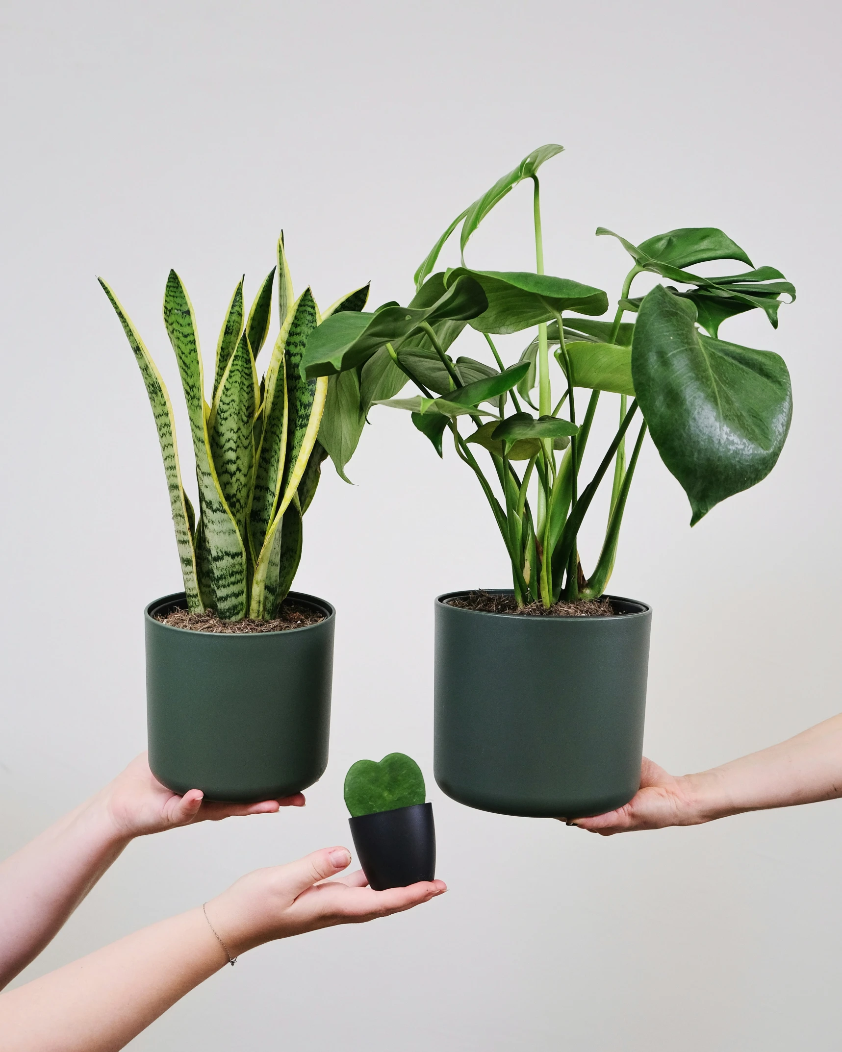 two people hold plants in their palm baskets