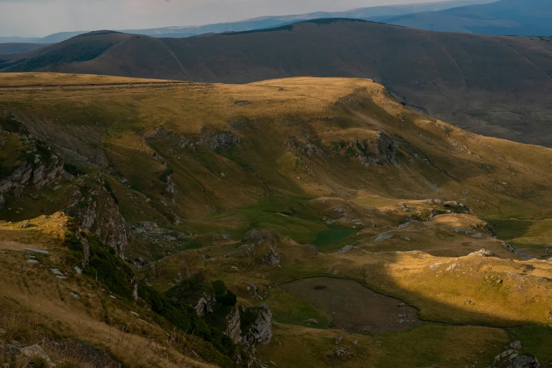 some cows in some mountains next to each other