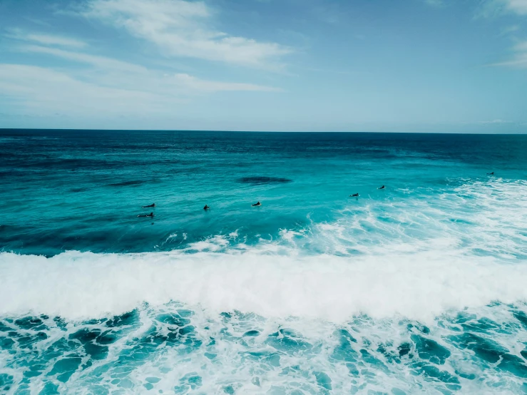 several surfers in the ocean on a nice day