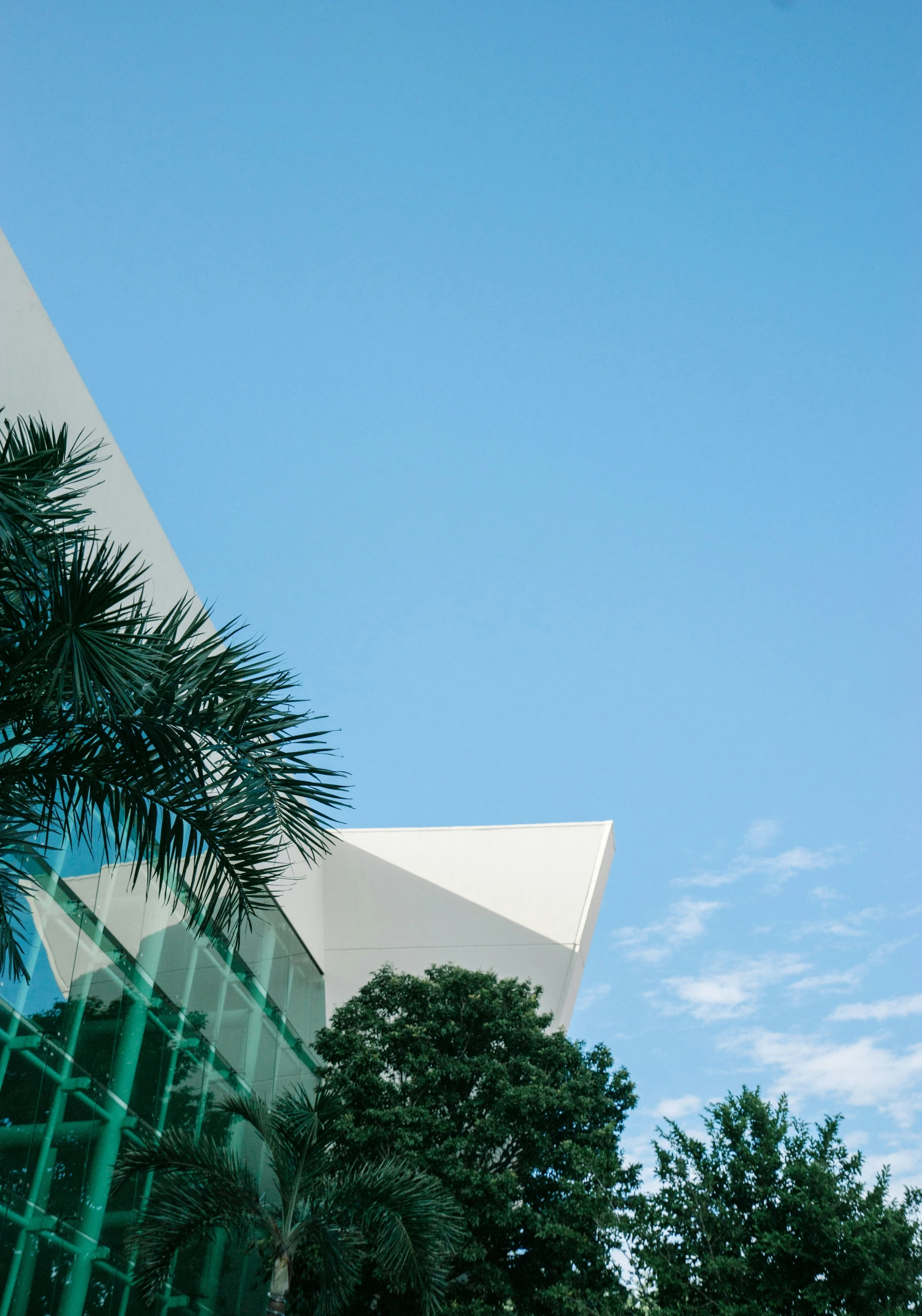 a building with a clear blue sky and palm trees