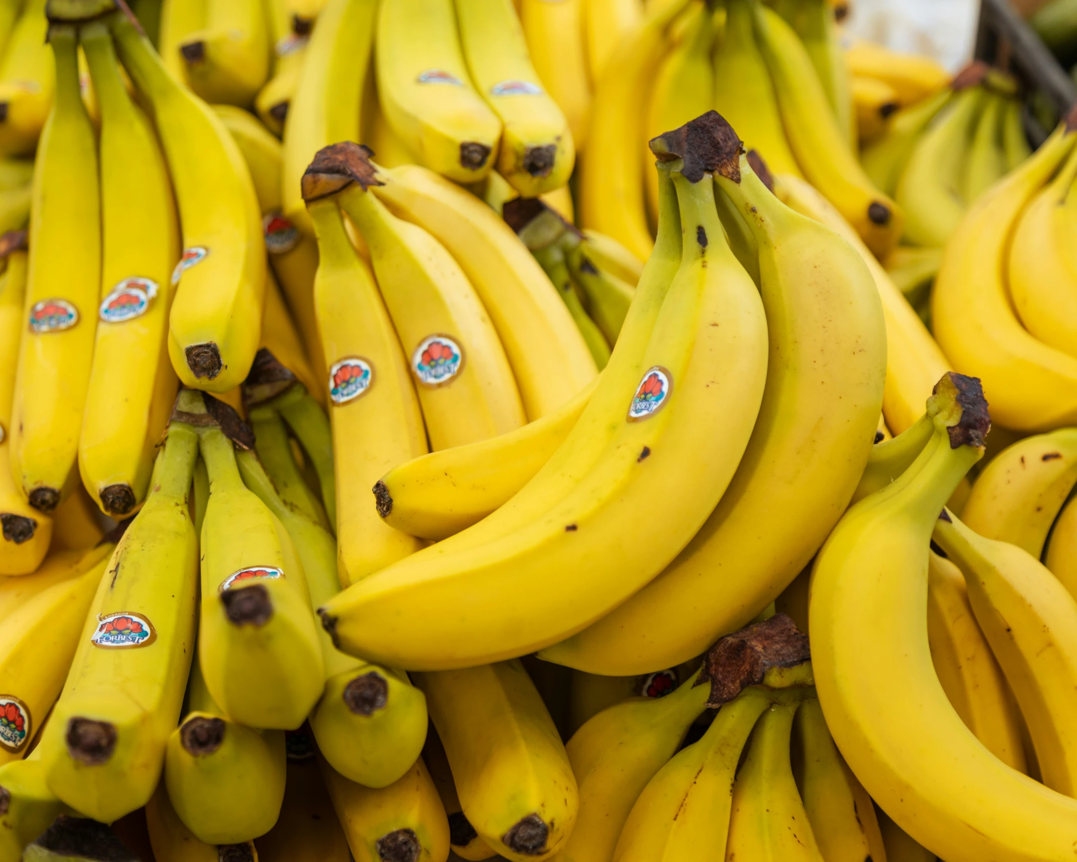 a bunch of banana's with stickers on them