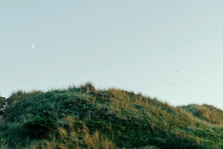 a hill with a tower at the top and a sky background