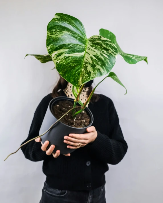 there is a person holding a plant that is growing