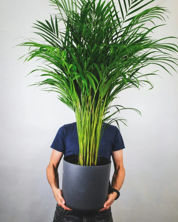 a man holds up a plant in a flat iron container