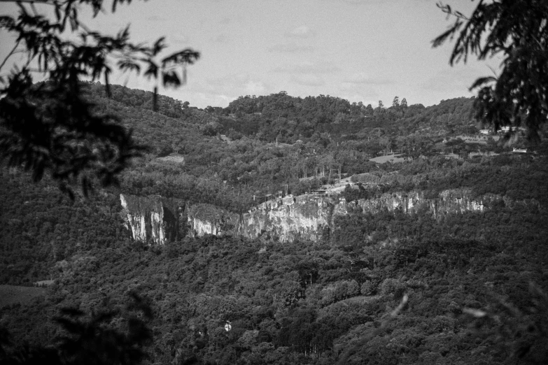 a forested area is seen from behind trees