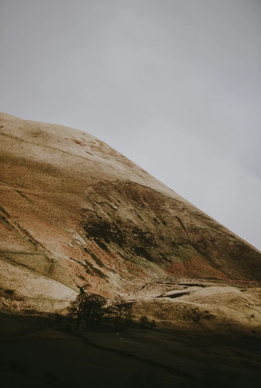 a lone hill with lots of grass on it