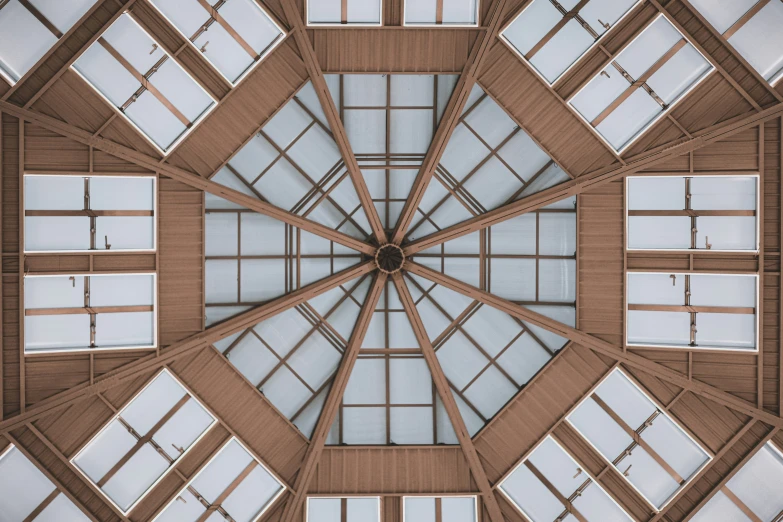 a ceiling with open wooden panels and windows