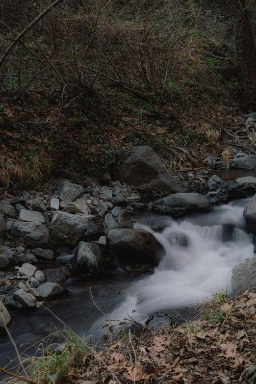 a stream that is flowing next to some rocks