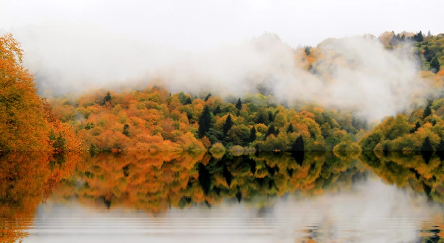 fog is coming off of trees and a river