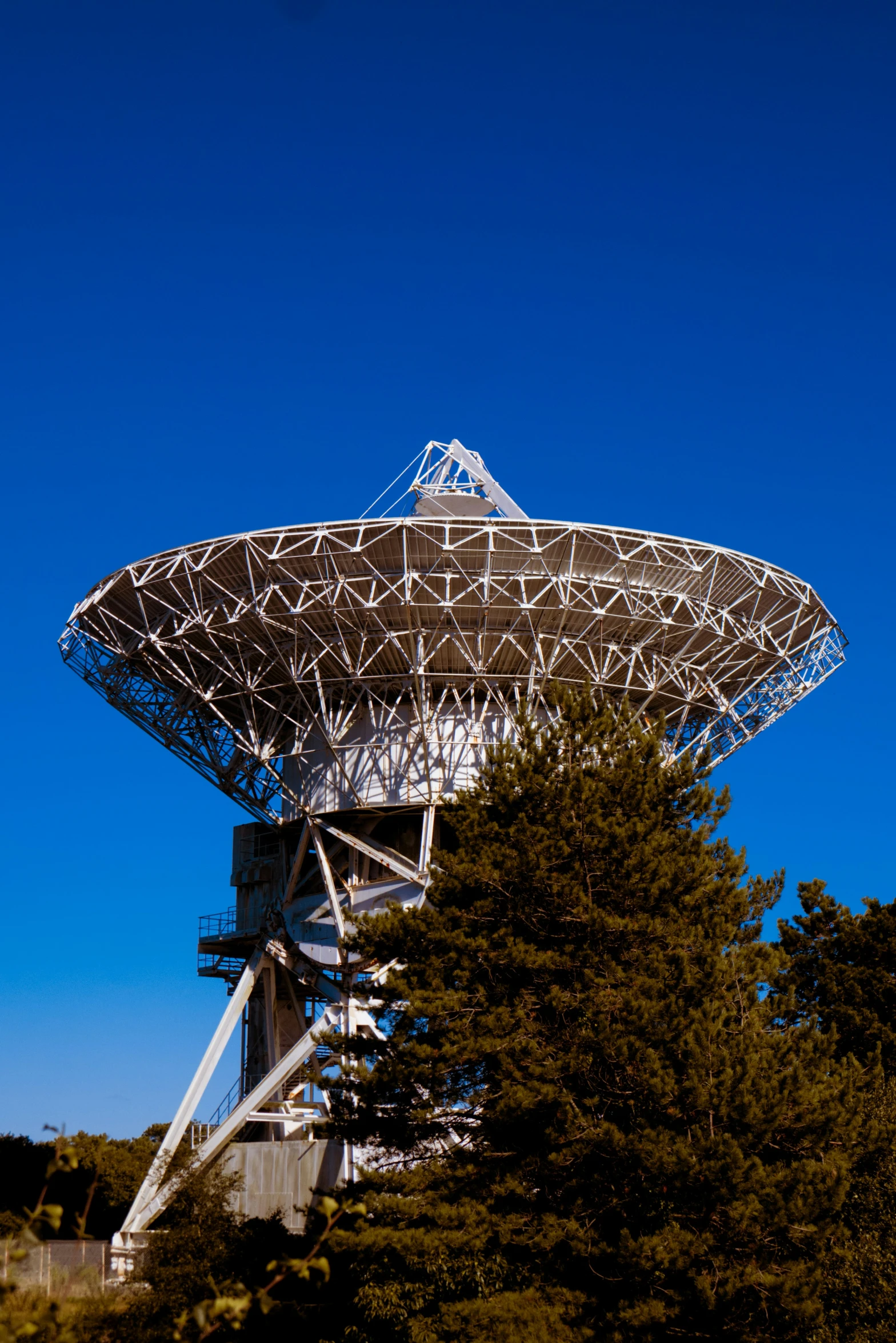 large object near trees under blue skies above