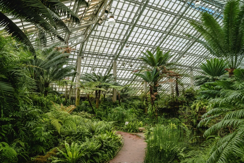 the view from inside a very large tropical area