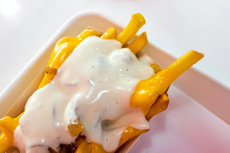 a white plate topped with a cheesy sandwich and fries