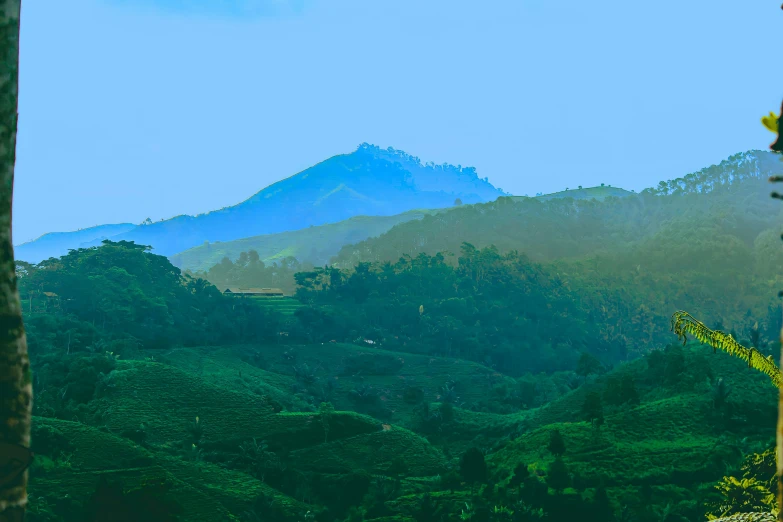 a mountain with trees and some hills