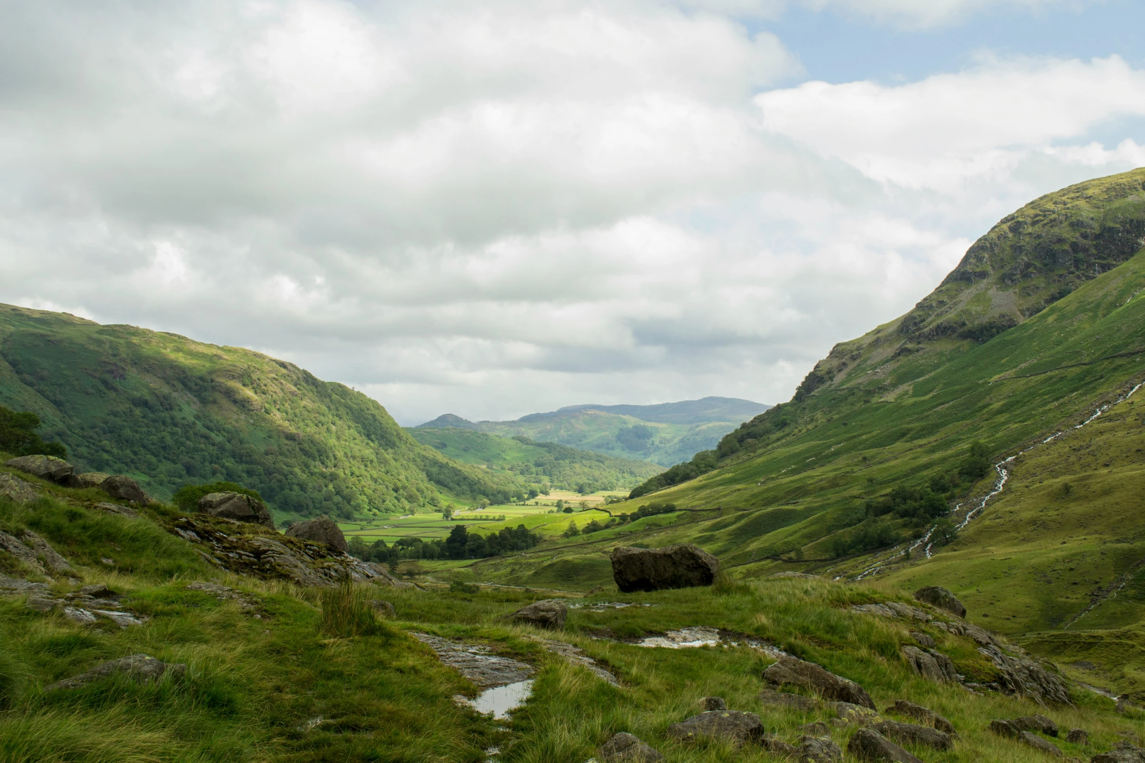 lush green valley in the mountains with dles in it