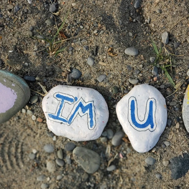 three rocks with letters painted on them sitting in the dirt