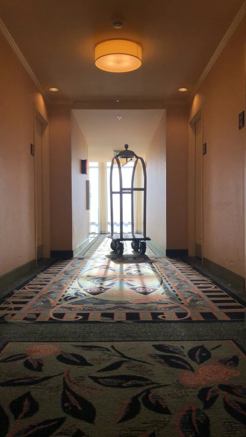 large hallway with decorative carpets and light fixture