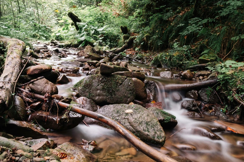 a forest stream running through some rocks and trees