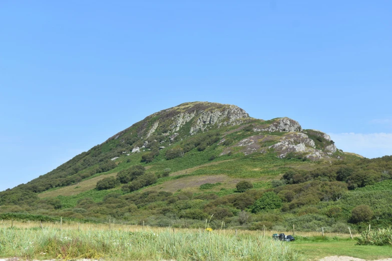 a large mountain sits near some tall grass