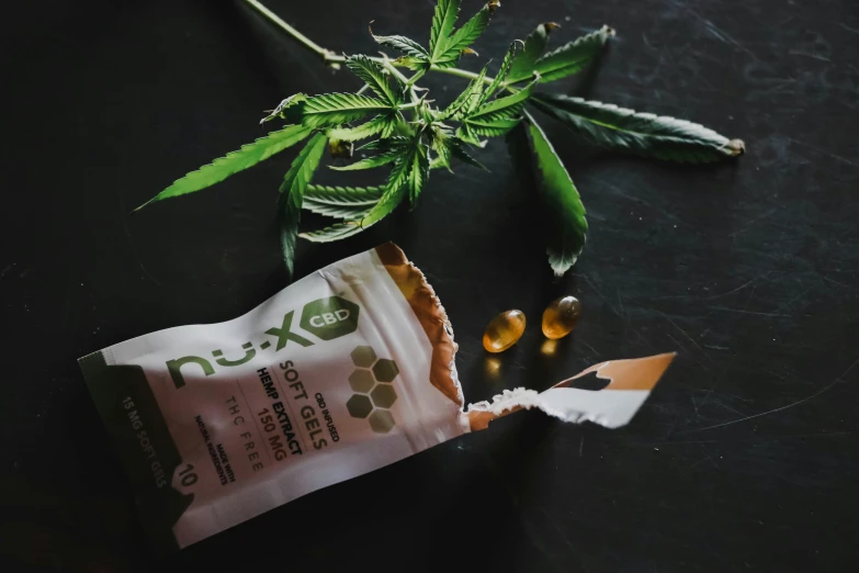 a bag sitting on top of a black table next to a plant