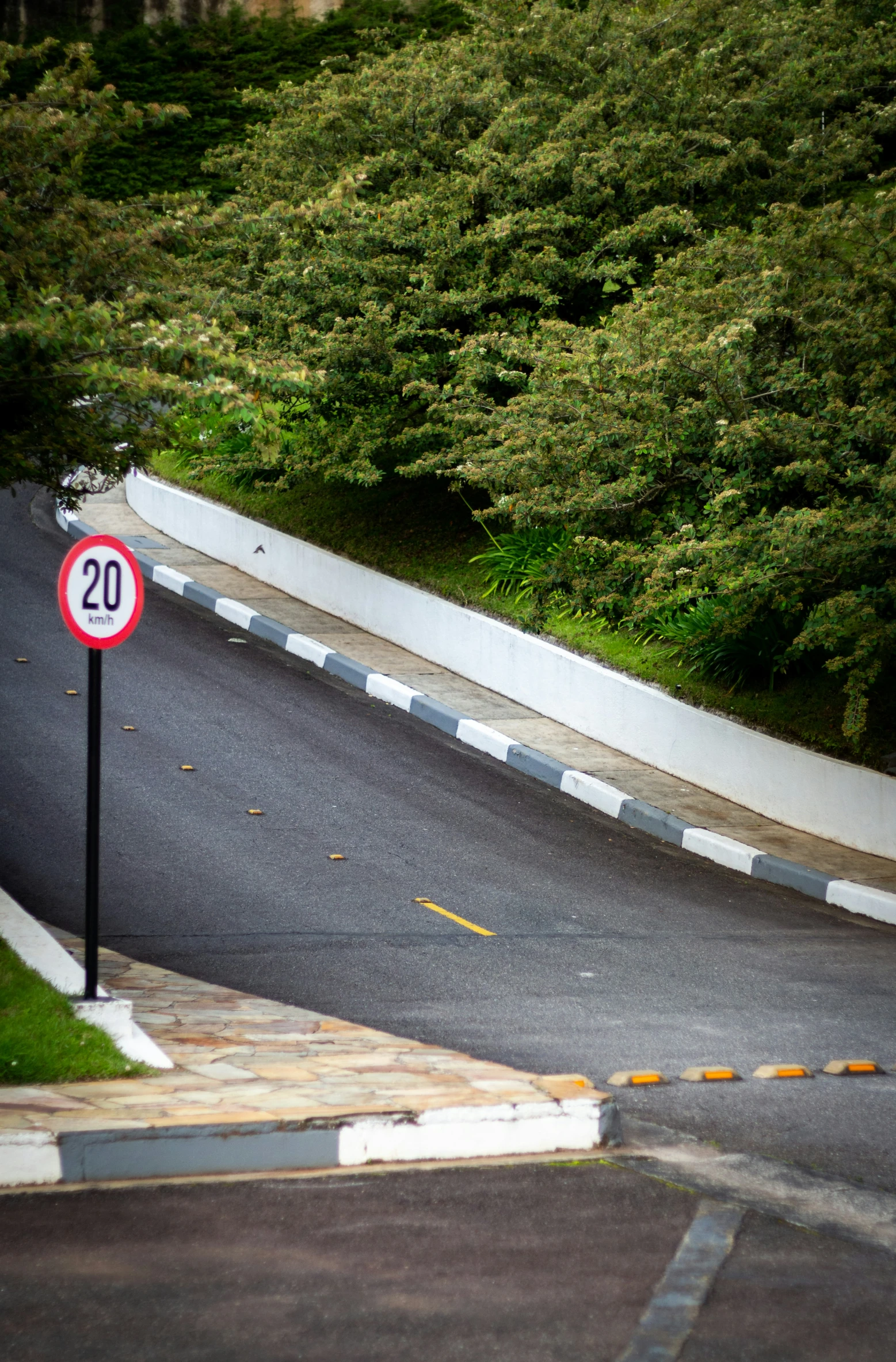 an image of road sign near many trees