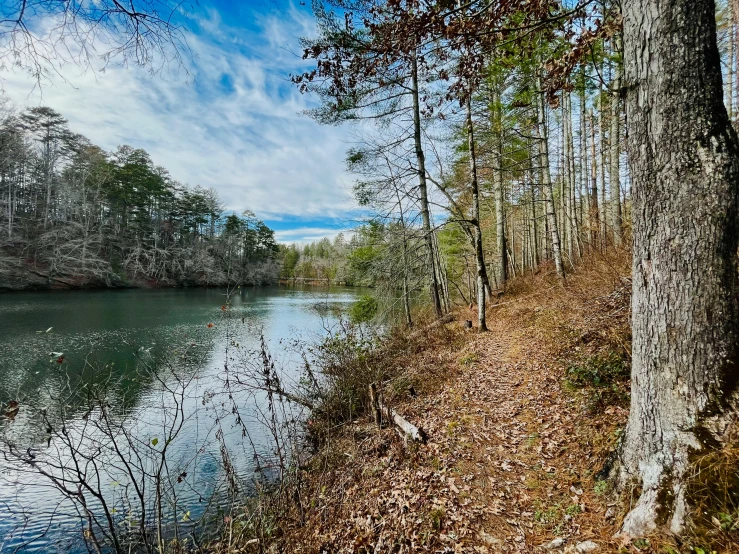 a river flowing through a forest covered in fall leaves