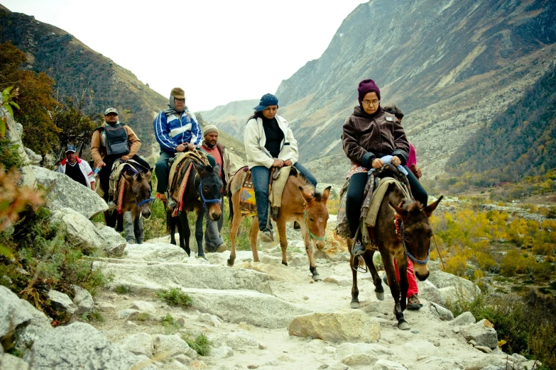 several people on donkeys are in a canyon