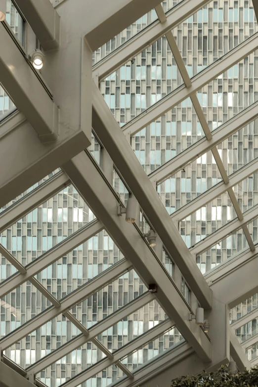 the ceiling of an open air building has several square shaped windows