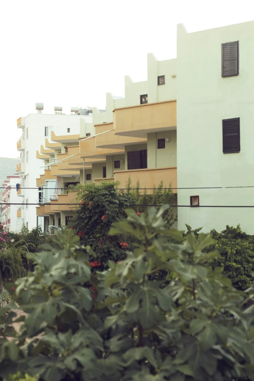 the view of a large building from through some bushes