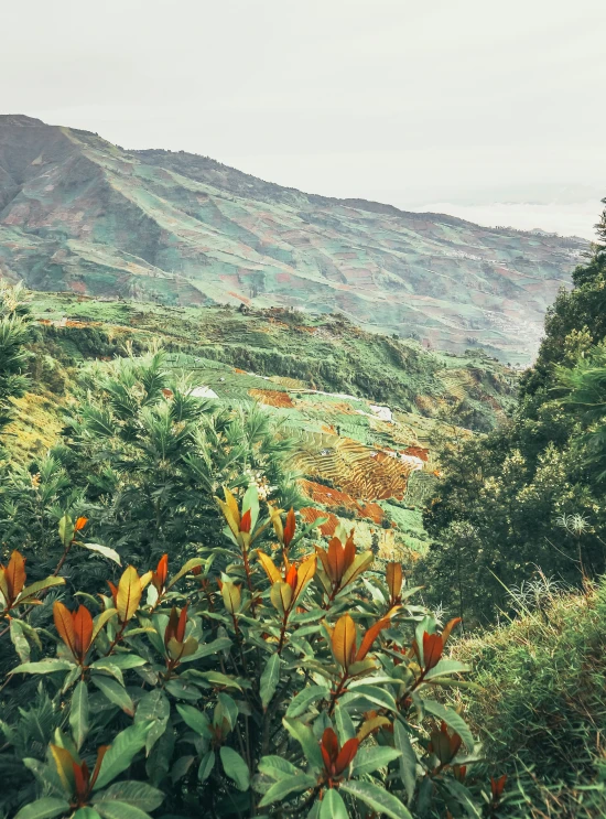 the view from the trail in the mountain top