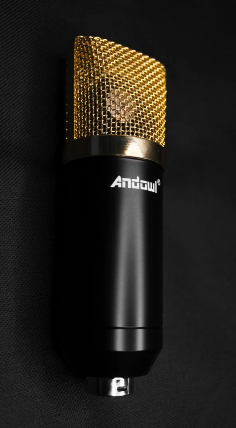 a microphone with a meshed screen on the top