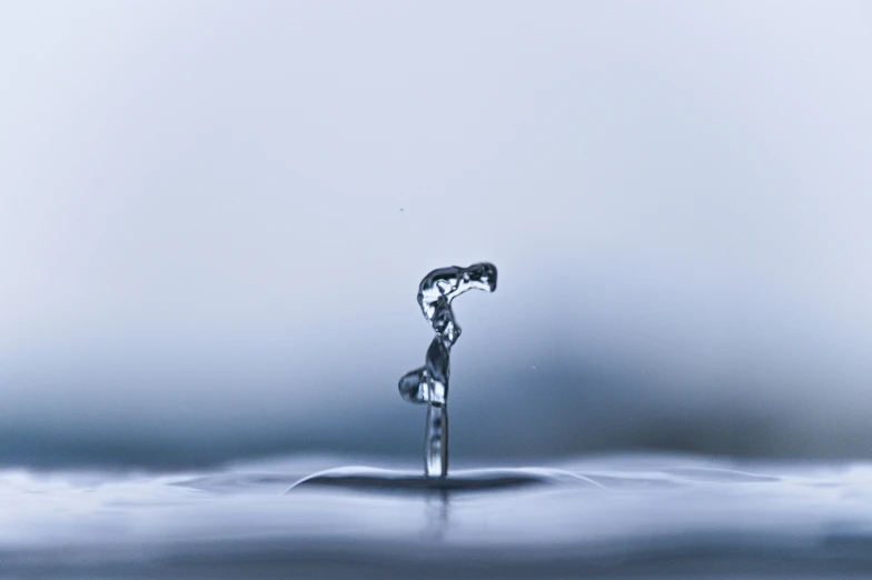 a couple of water drops are shown in this artistic po