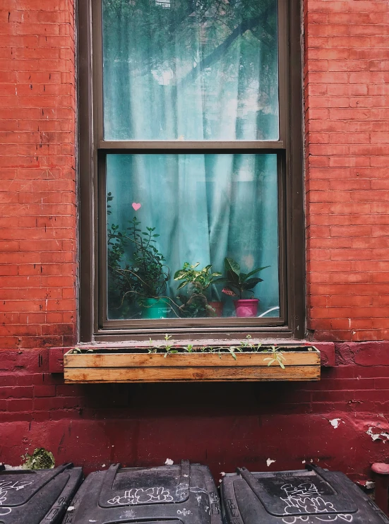 a window with some plants in the window