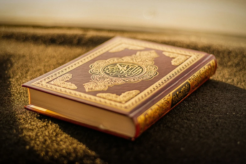 an open book with an intricate binding is displayed