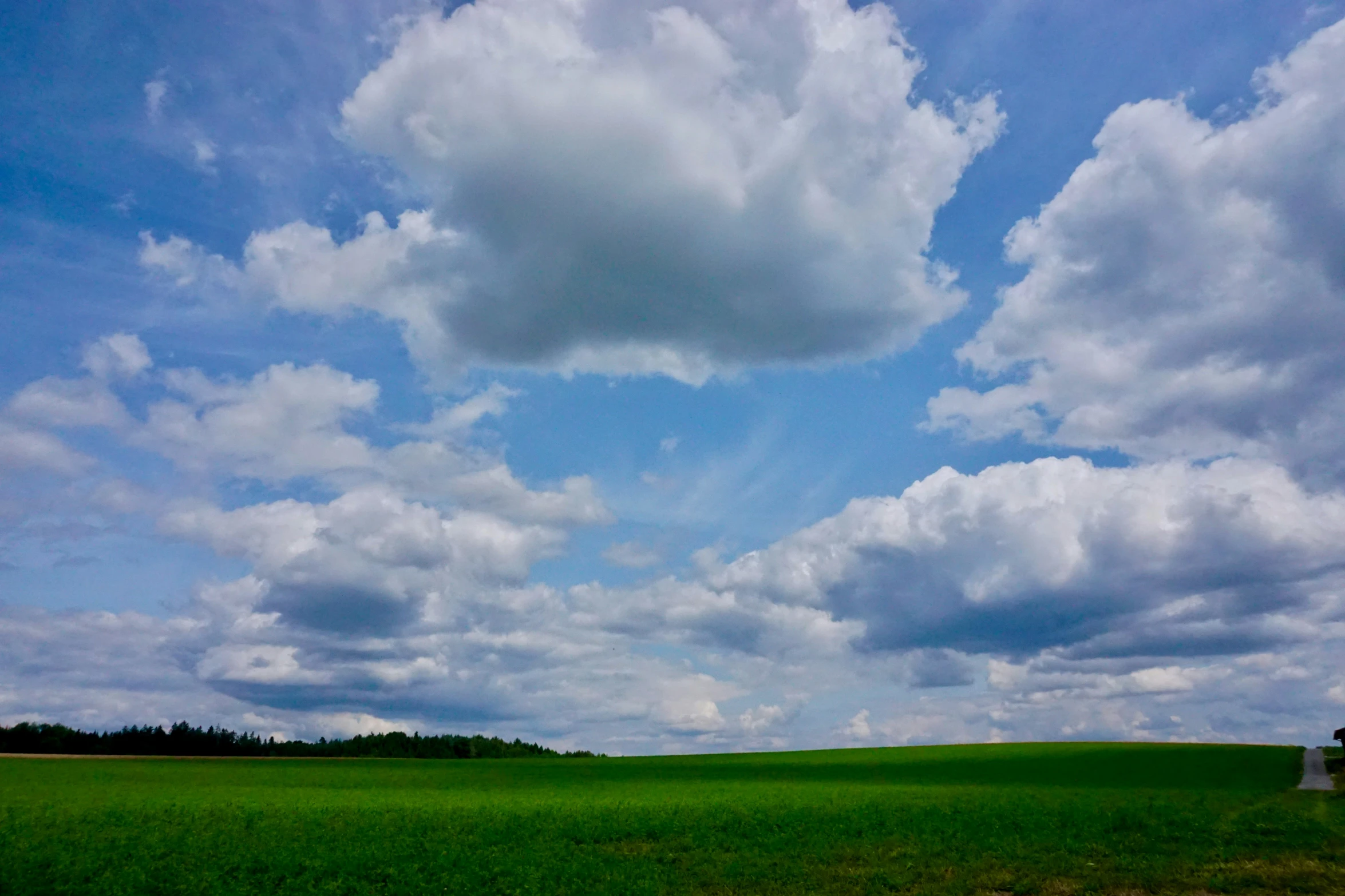 a large field that has some grass in it