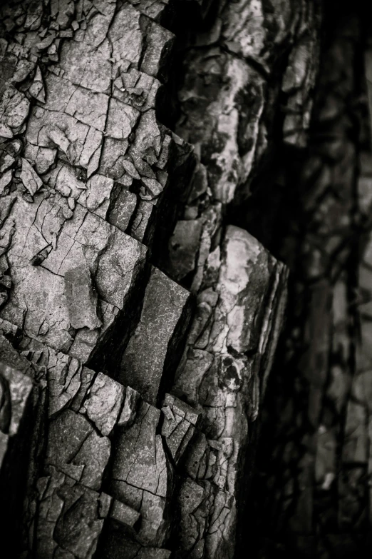 a black and white po of several pieces of wood