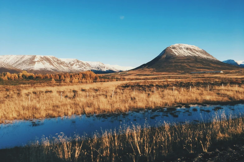 a beautiful landscape with some trees in the distance