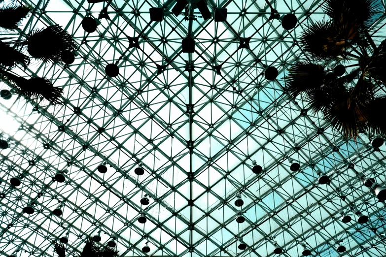 a glass ceiling filled with different kinds of objects